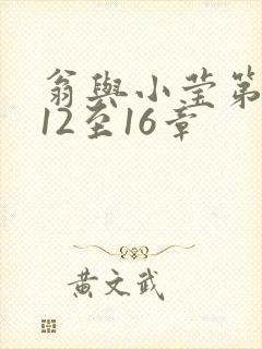 翁与小莹第十部12至16章封面