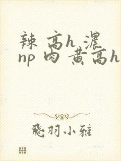 辣 高h 浓 np 肉 黄高h