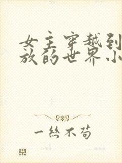 女主穿越到很开放的世界小说封面