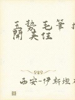 玉势 毛笔 撑开 夹住