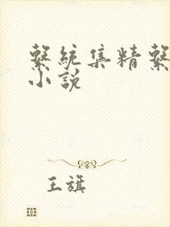 系统集精系统 小说封面