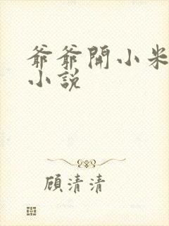 爷爷开小米的包小说