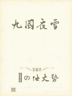 九国夜雪