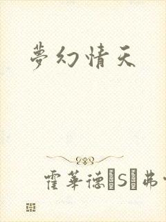 梦幻情天封面