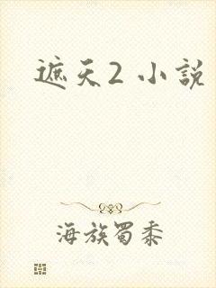 遮天2 小说