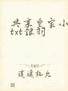 共享皇家小公主txt银羽封面