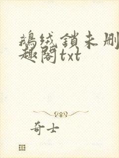 鹅绒锁未删除笔趣阁txt