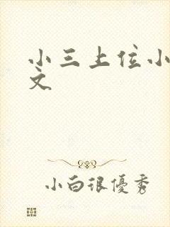 小三上位小说全文