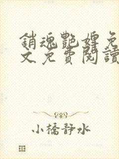 销魂艳婢免费全文免费阅读