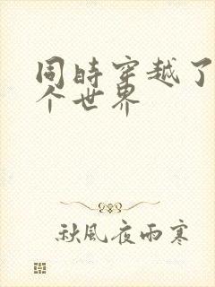 同时穿越了99个世界