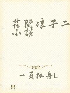 花间浪子二十部小说封面