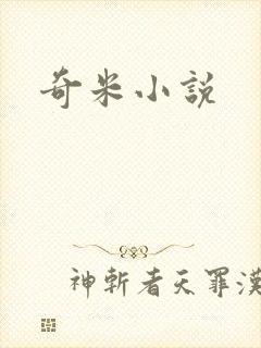 奇米小说封面