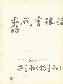 乖,我会很温柔的封面