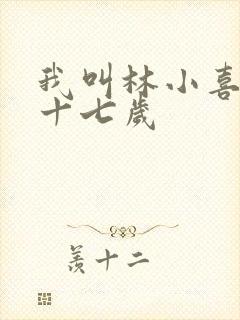 我叫林小喜今年十七岁