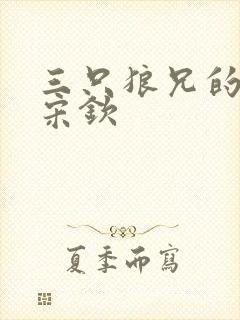 三只狼兄的宠妻宋钦