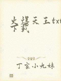 火爆天王txt下载