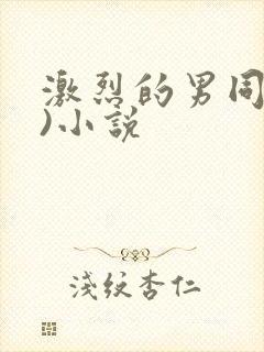 激烈的男同(h)小说