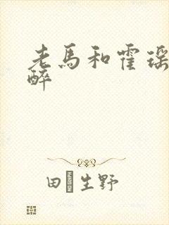 老马和霍瑶瑶喝醉