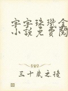 字字珠玑金银花小说免费阅读