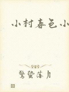 小村春色小说