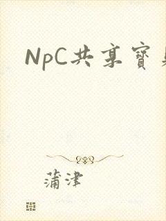 NpC共享宝贝