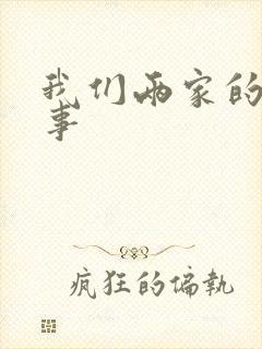 我们两家的荒唐事封面