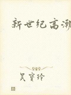 新世纪高潮战队