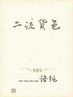 二流货色
