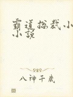 霸道总裁小娇妻小说