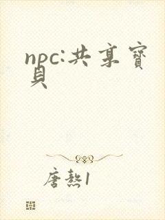 npc:共享宝贝
