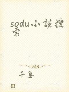 sodu小说搜索封面