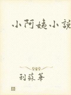 小阿姨小说封面
