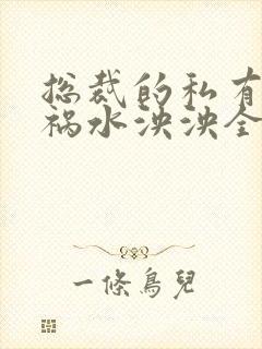 总裁的私有宝贝祸水泱泱全文阅读