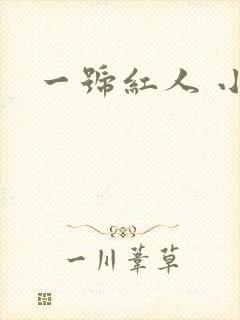 一号红人 小说