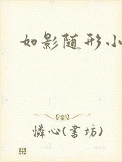 如影随形小说封面
