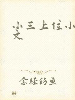 小三上位小说全文