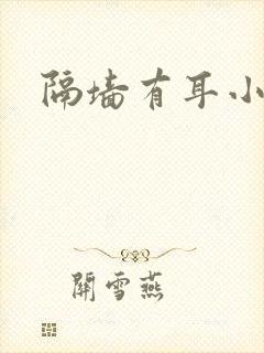 隔墙有耳小说封面