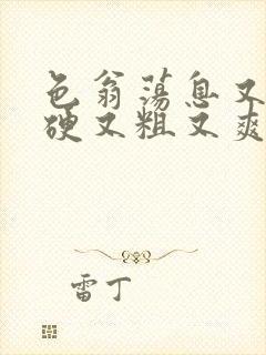 色翁荡息又大又硬又粗又爽电影