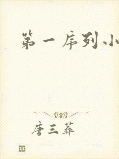 第一序列小说封面