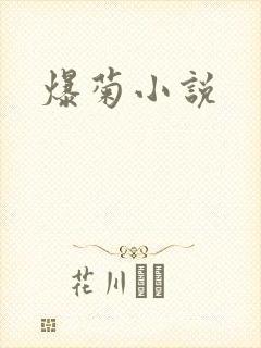 爆菊小说