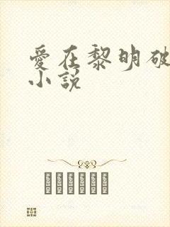 爱在黎明破晓前小说