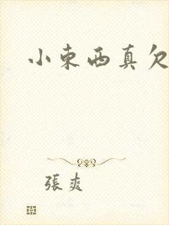 小东西真欠弄封面