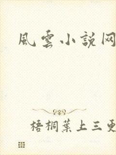风云小说网封面