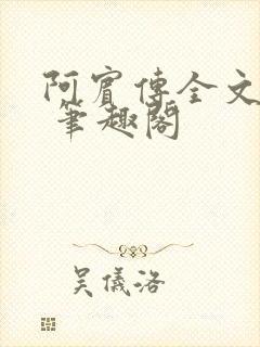 阿宾传全文阅读 笔趣阁封面