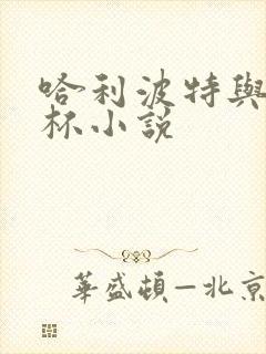 哈利波特与火焰杯小说