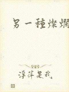 另一种灿烂生活