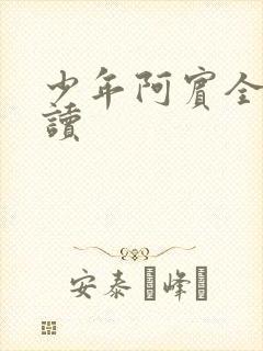 少年阿宾全集阅读封面
