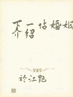 下一站婚姻剧情介绍