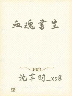 血魂书生封面