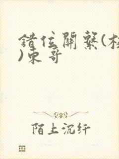 错位关系(校园)东哥